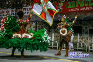 SÃO PAULO, SP, 03.02.2024-CARNAVAL-SP: Integrante da escola de samba X9 Paulistana, durante o desfile do grupo de acesso 2 do Carnaval de São Paulo, no Sambódromo do Anhembi, zona norte de São Paulo, na noite deste sábado, (03). (Foto: Nelson Gariba/Sintonia de Bambas)